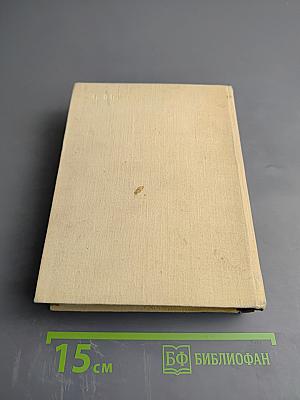 Автобиографические записки. Том III