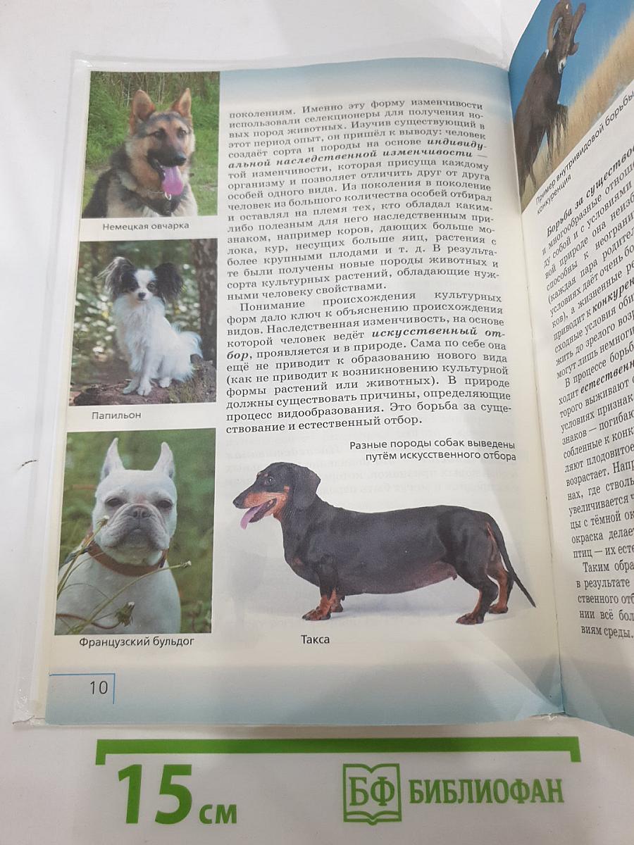Биология. Многообразие живых организмов. Бактерии, грибы, растения. 7 класс