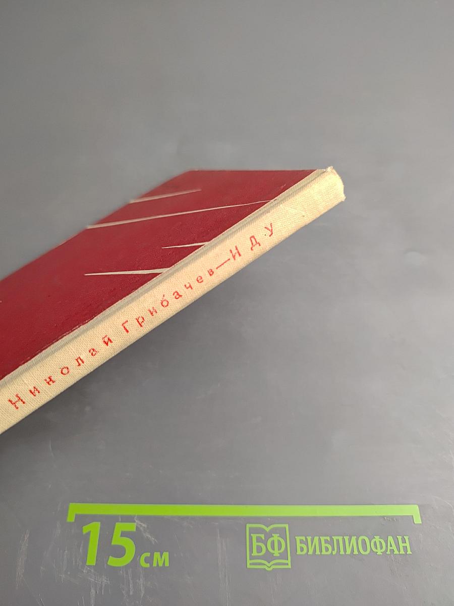 Иду. Стихи и поэмы