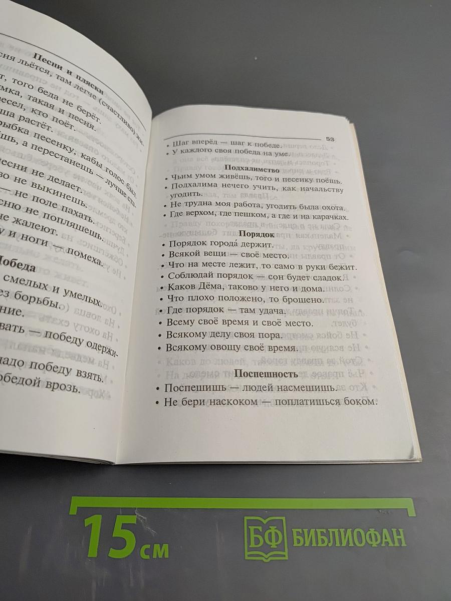 Пословицы, поговорки и крылатые выражения. Словарик школьника
