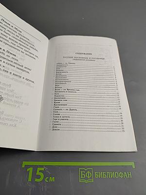 Пословицы, поговорки и крылатые выражения. Словарик школьника