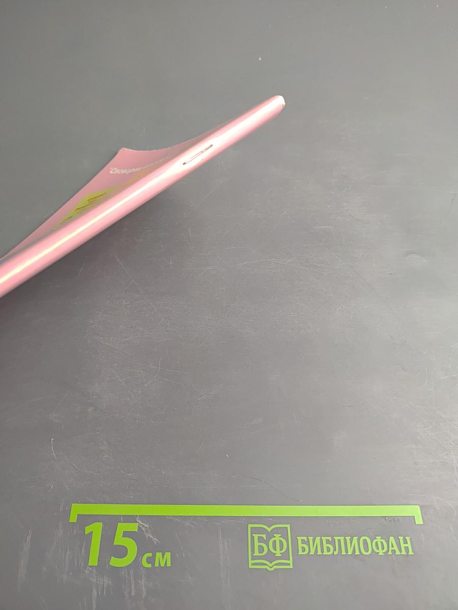 Пословицы, поговорки и крылатые выражения. Словарик школьника