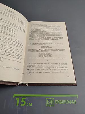 Поэзия и судьба. Статьи и заметки о Пушкине