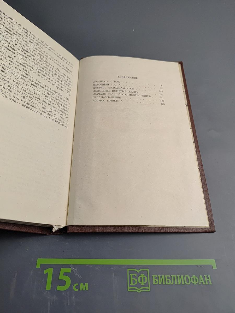Поэзия и судьба. Статьи и заметки о Пушкине