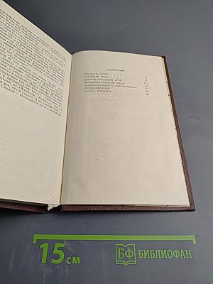 Поэзия и судьба. Статьи и заметки о Пушкине