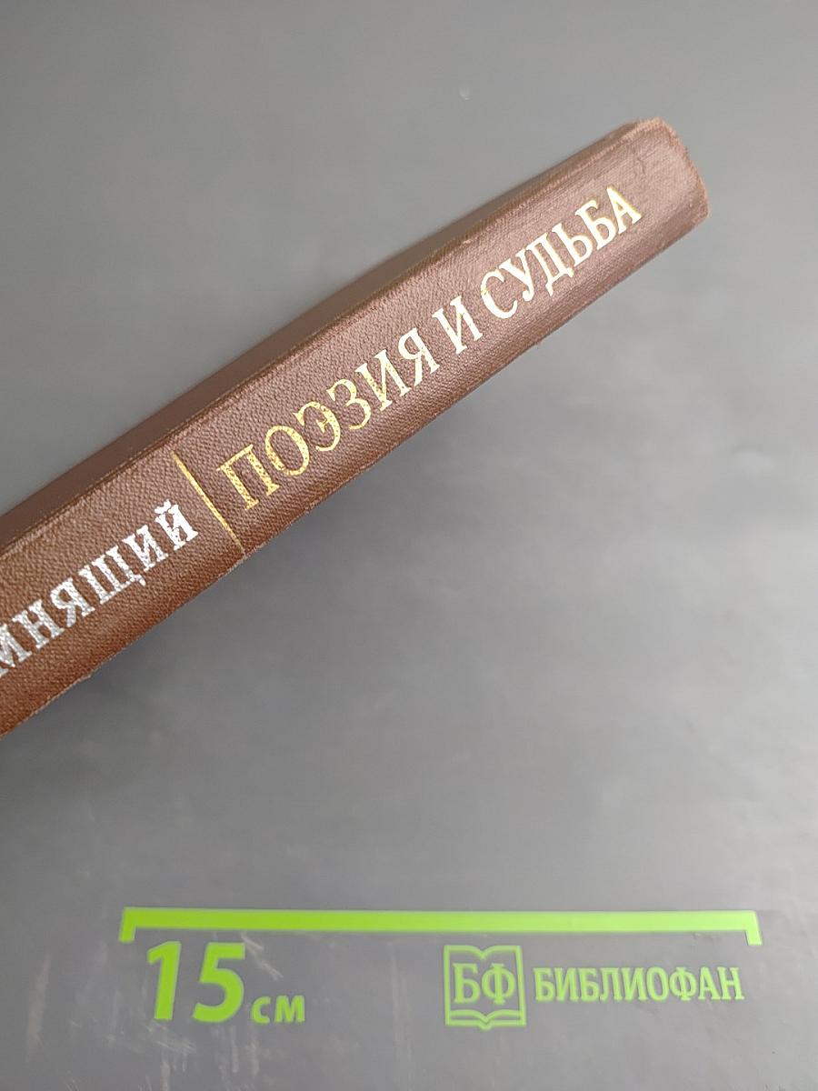 Поэзия и судьба. Статьи и заметки о Пушкине