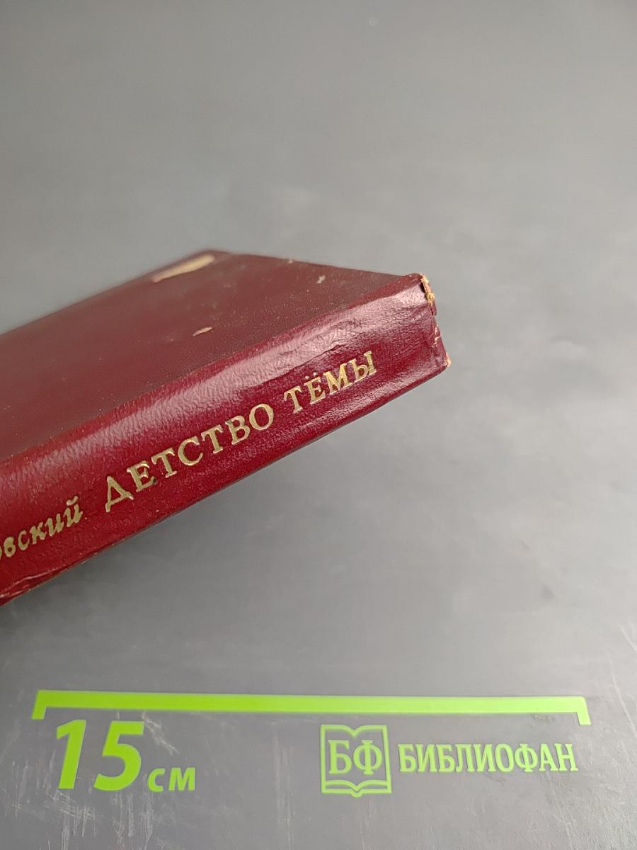 Детство Тёмы