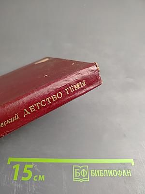 Детство Тёмы