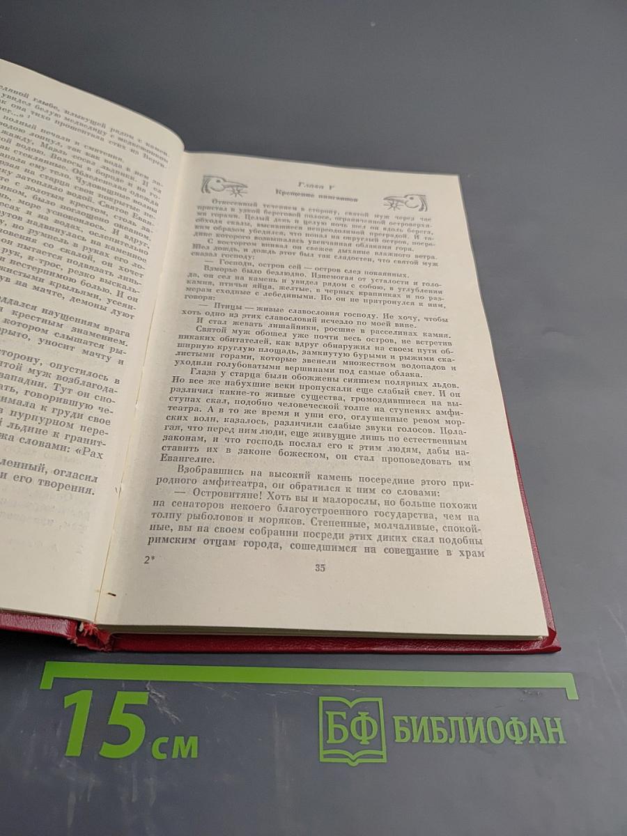 Остров пингвинов