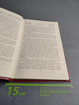 Остров пингвинов