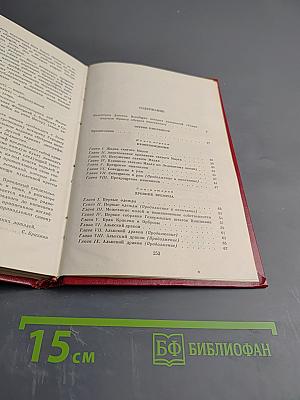 Остров пингвинов