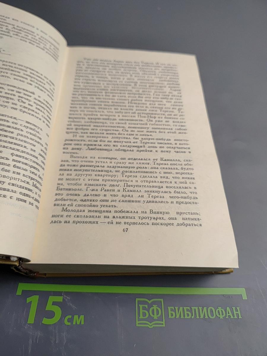 Тереза Ракен. Жерминаль