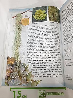 Биология. Многообразие живых организмов. Бактерии, грибы, растения. 7 класс