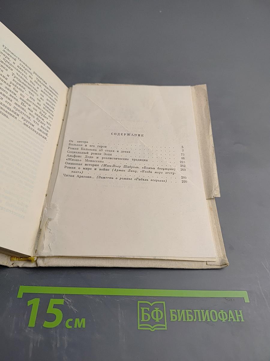 Портреты французских писателей