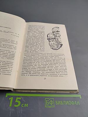 Энциклопедия Чудес. Книга вторая. Загадки живой природы