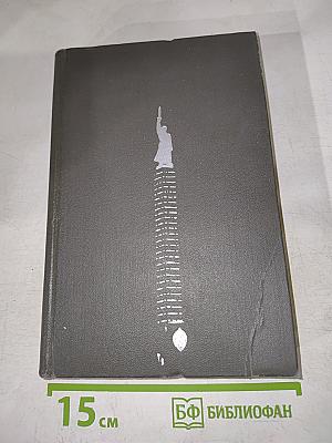 Фронт без линии фронта