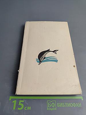 Биография моря