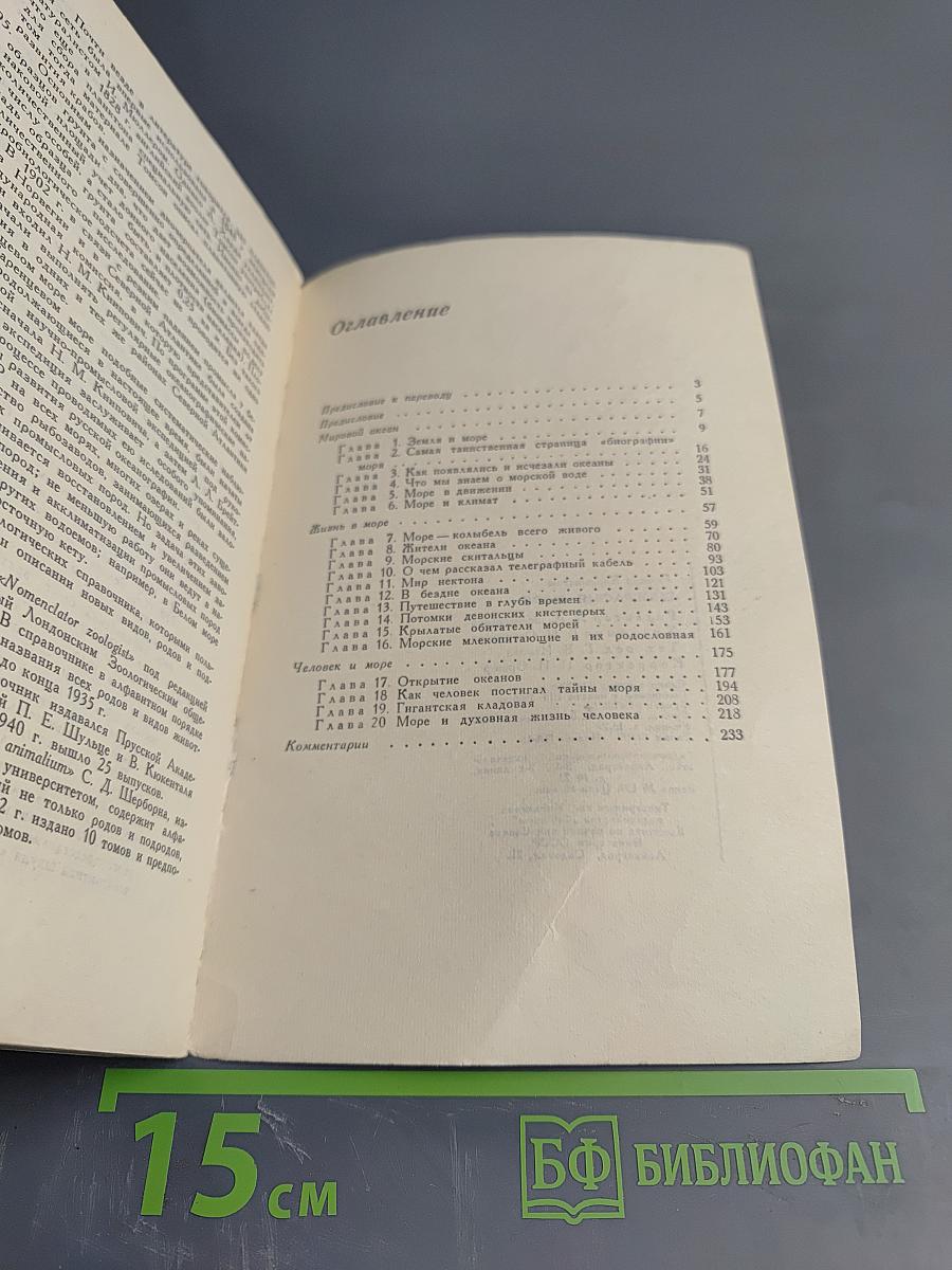 Биография моря