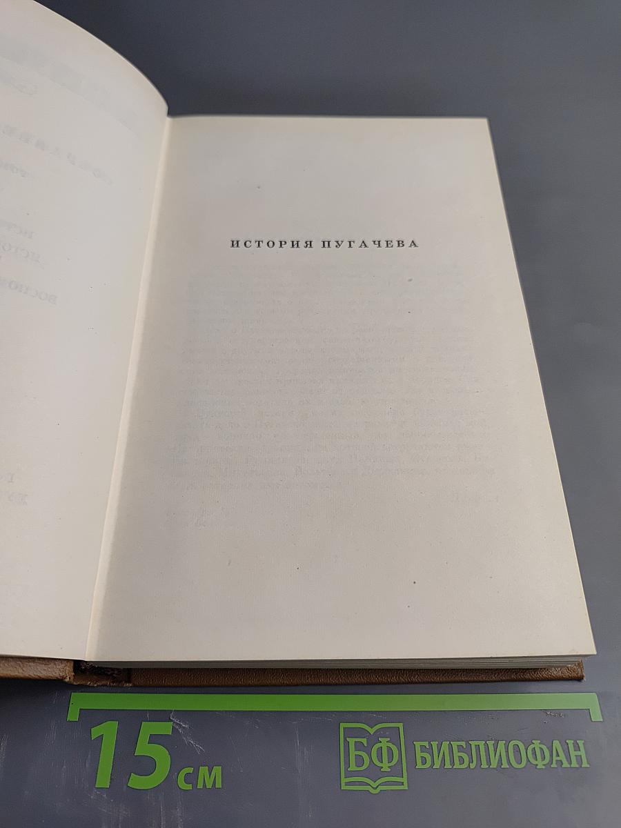 Собрание сочинений. Том седьмой: История Пугачева. Исторические статьи и материалы. Воспоминания и дневники
