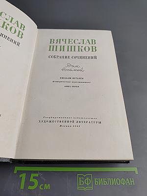 Собрание сочинений. Том 8: Емельян Пугачев. Книга третья