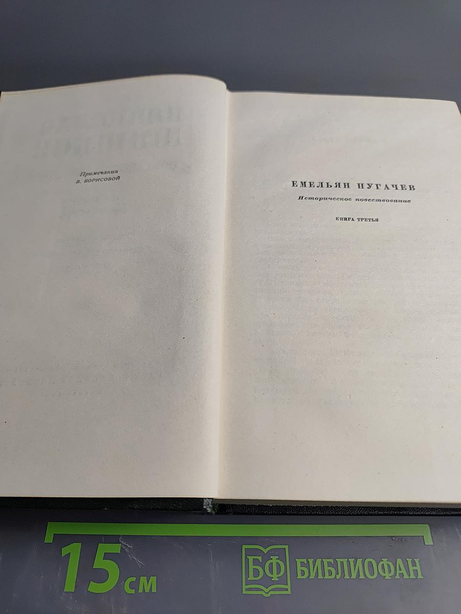 Собрание сочинений. Том 8: Емельян Пугачев. Книга третья