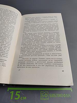 Собрание сочинений. Том 8: Емельян Пугачев. Книга третья