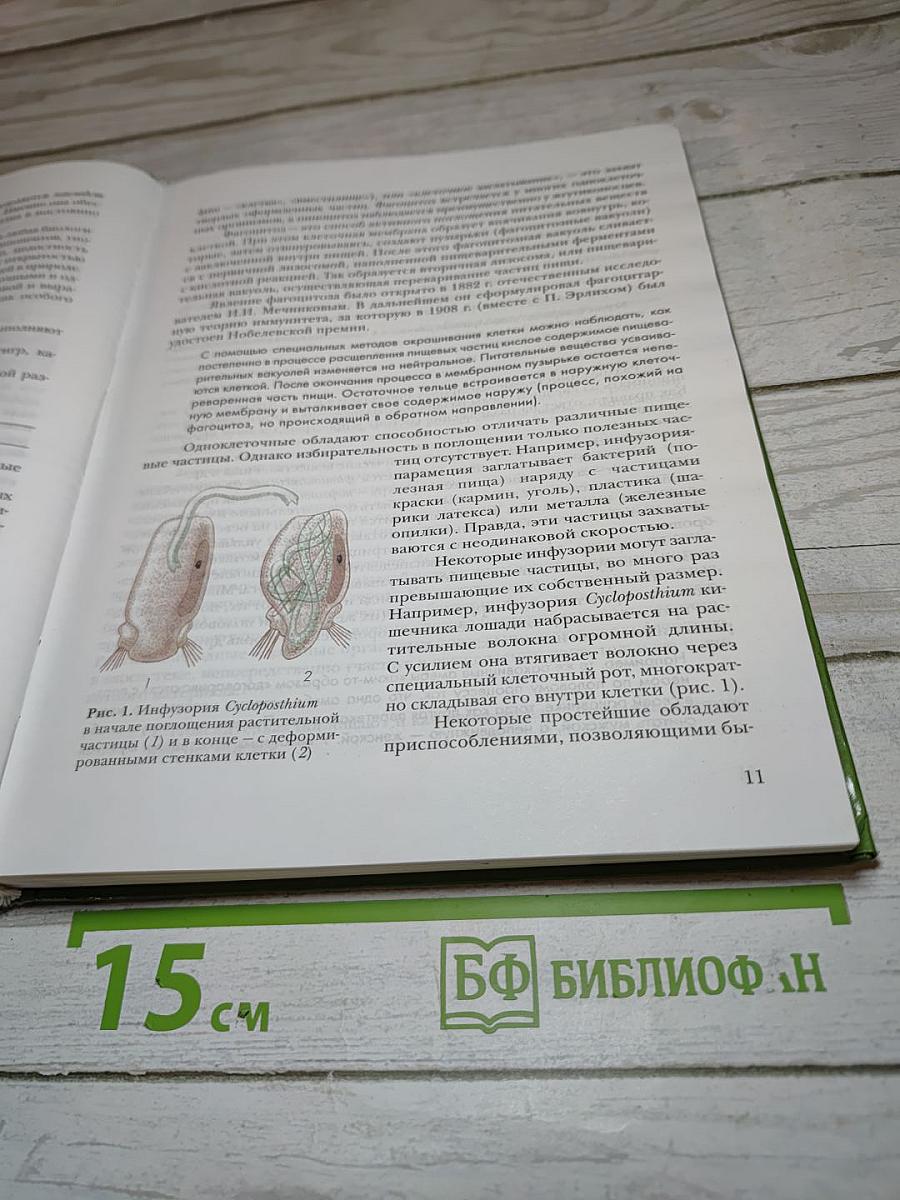 Биология. Базовый уровень. 11 класс