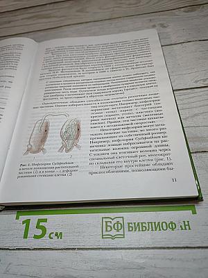Биология. Базовый уровень. 11 класс