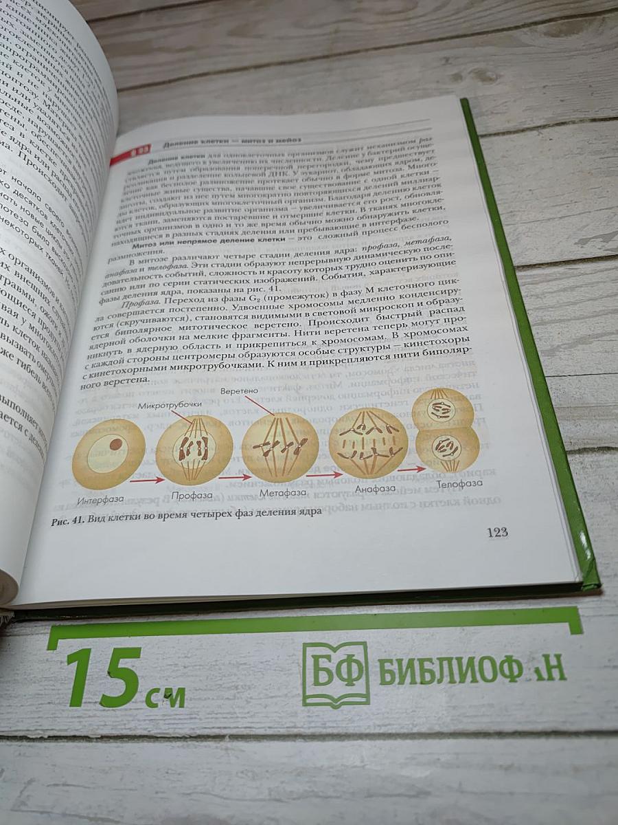 Биология. Базовый уровень. 11 класс