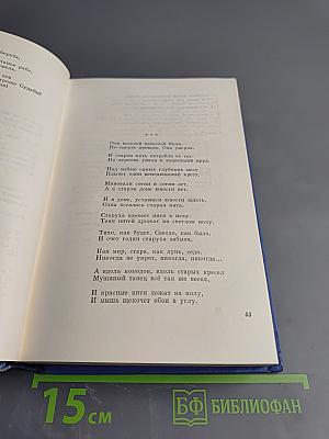 Собрание сочинений. Том второй: Стихотворения и поэмы 1904–1908