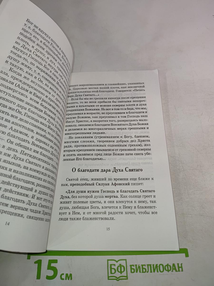 Размышления о бессмертной душе