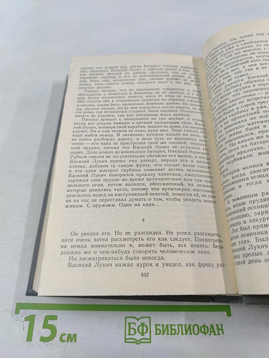 Высшая мера