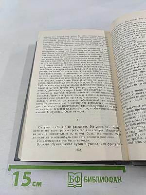 Высшая мера