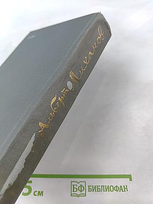 Высшая мера