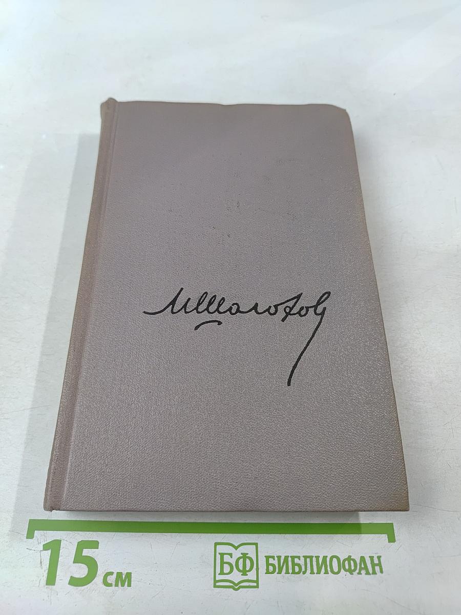 Тихий Дон. Роман в четырёх книгах. Книга первая. Том 2