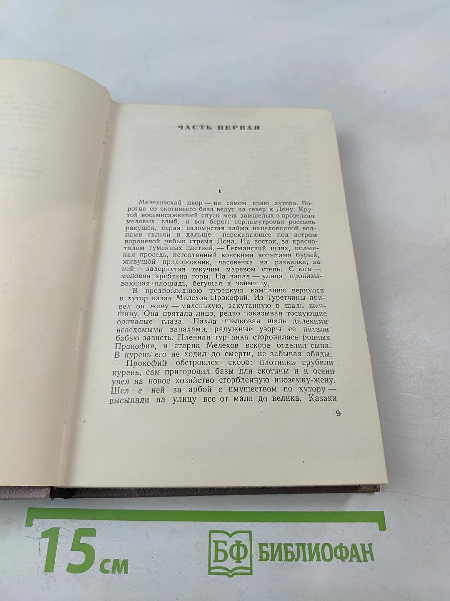 Тихий Дон. Роман в четырёх книгах. Книга первая. Том 2
