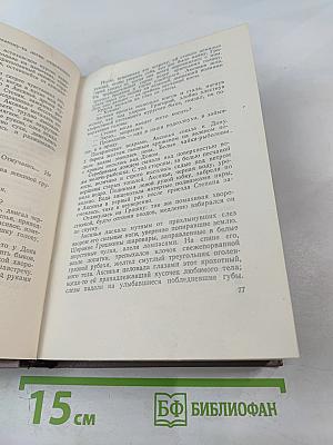 Тихий Дон. Роман в четырёх книгах. Книга первая. Том 2