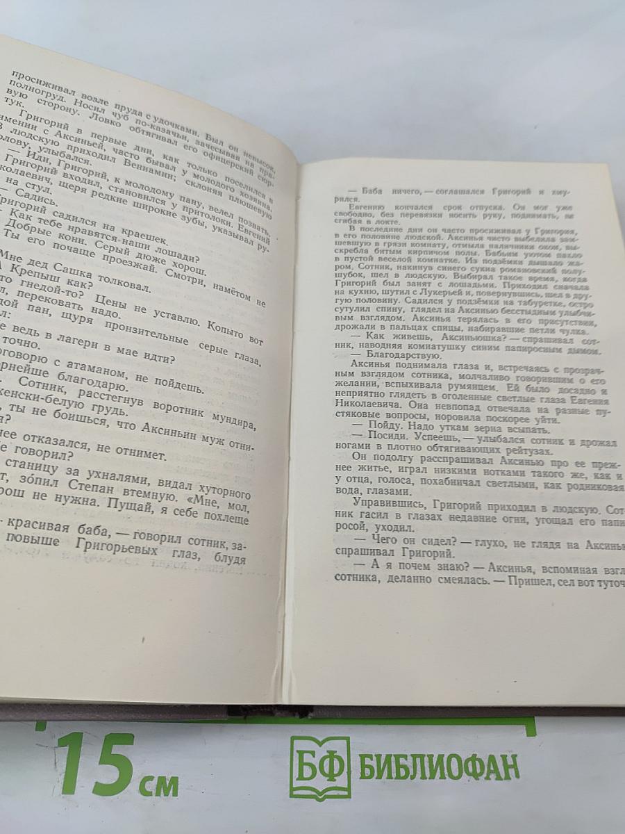 Тихий Дон. Роман в четырёх книгах. Книга первая. Том 2