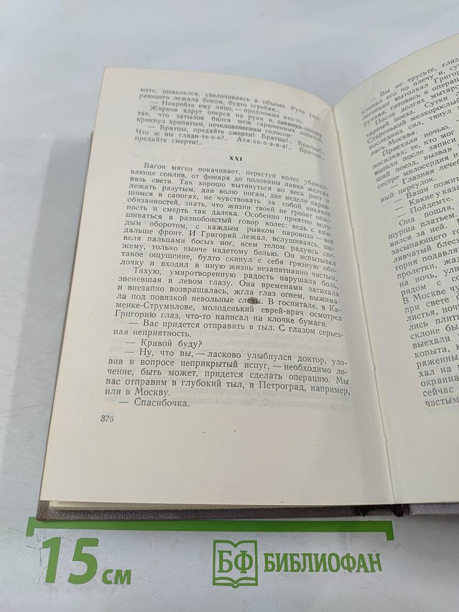 Тихий Дон. Роман в четырёх книгах. Книга первая. Том 2