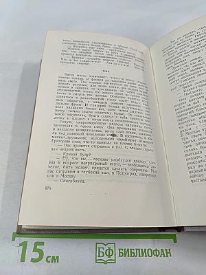 Тихий Дон. Роман в четырёх книгах. Книга первая. Том 2