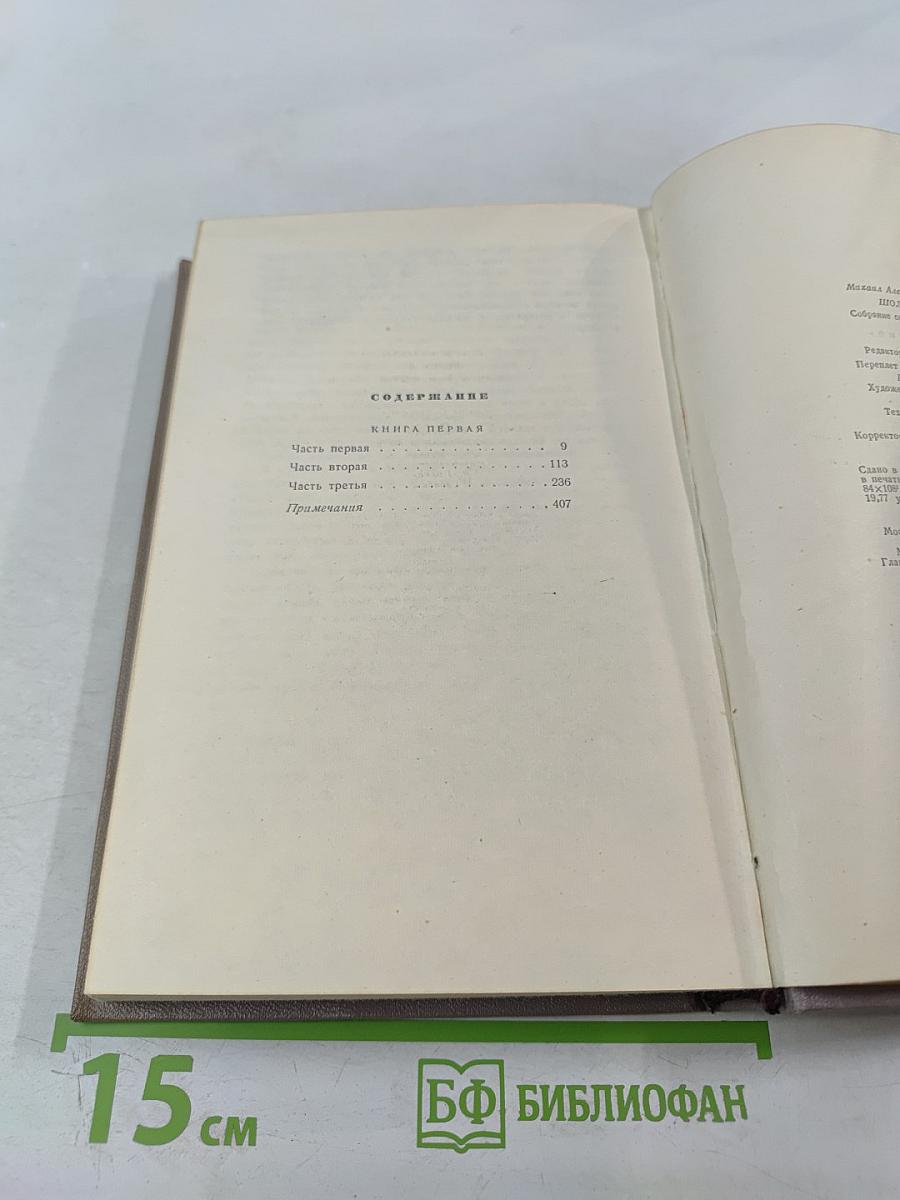 Тихий Дон. Роман в четырёх книгах. Книга первая. Том 2