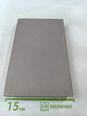 Тихий Дон. Роман в четырёх книгах. Книга первая. Том 2