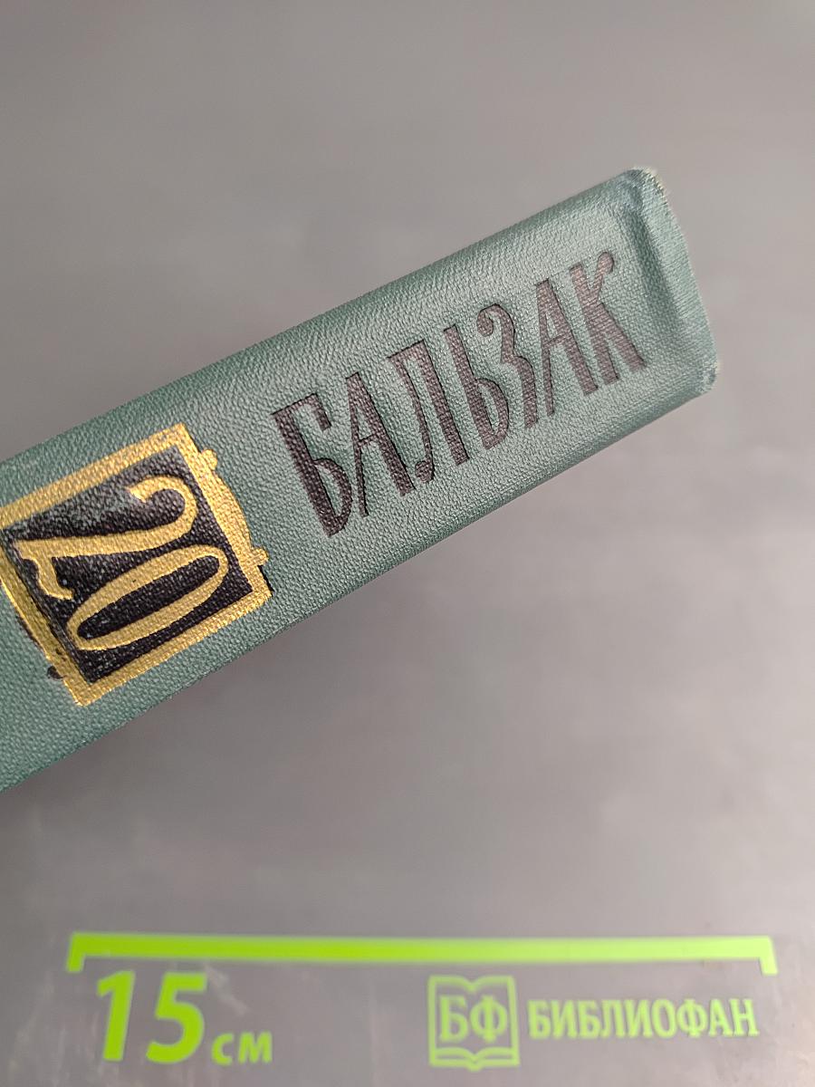 Собрание сочинений в 24 томах. Том XX: Философские этюды