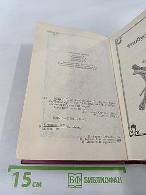 Флибустьеры; Гамбусино