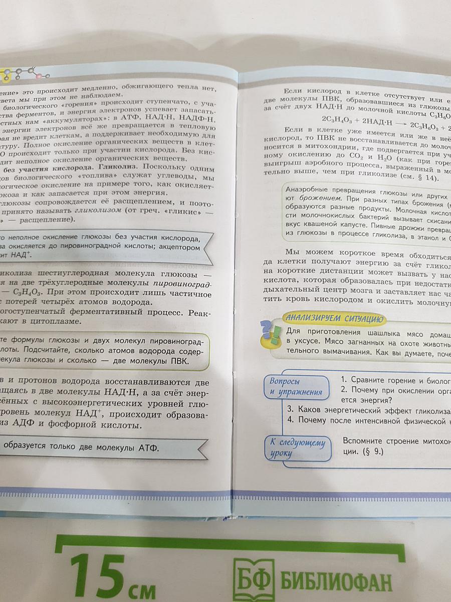 Биология 10 класс