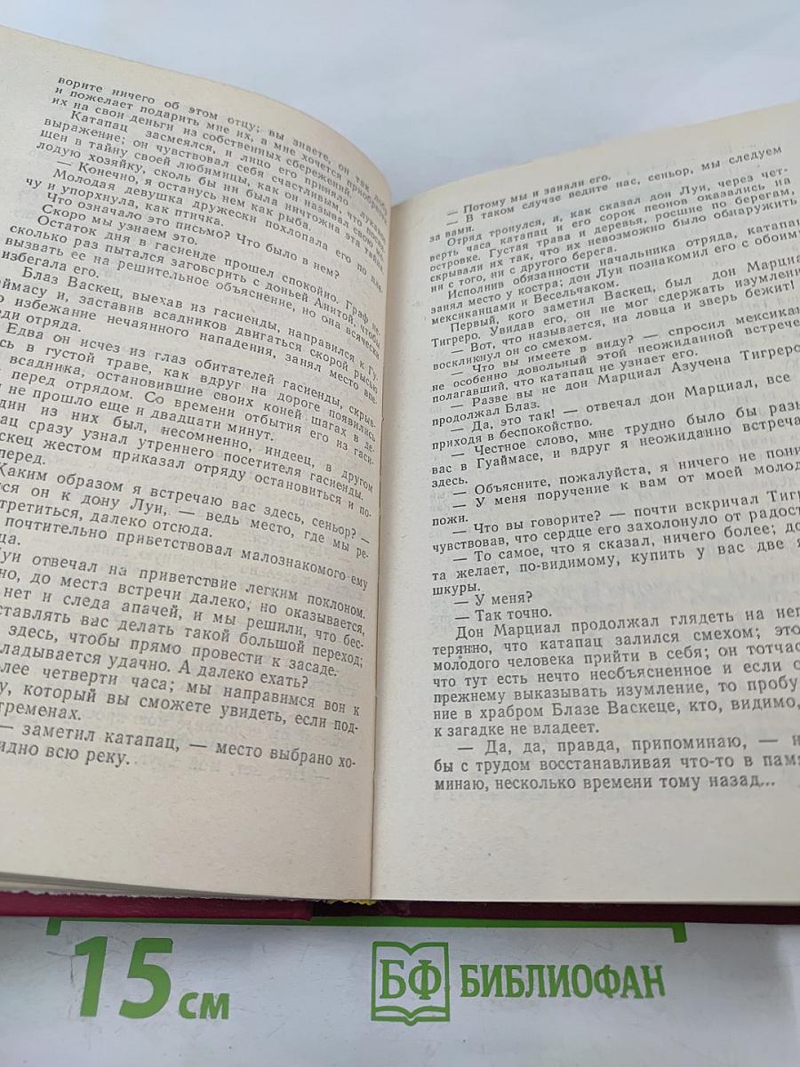 Флибустьеры; Гамбусино