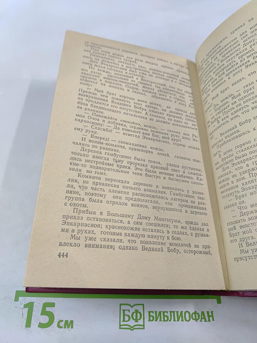 Флибустьеры; Гамбусино