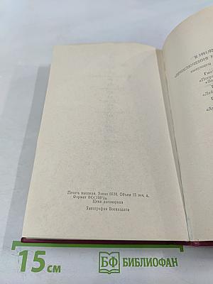 Флибустьеры; Гамбусино