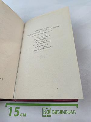 Флибустьеры; Гамбусино