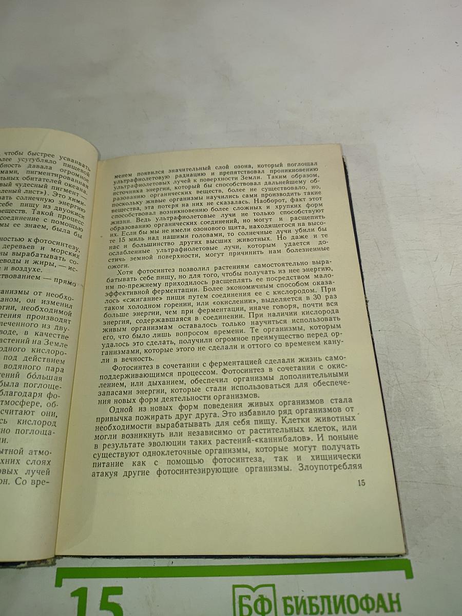 Обитатели бездны